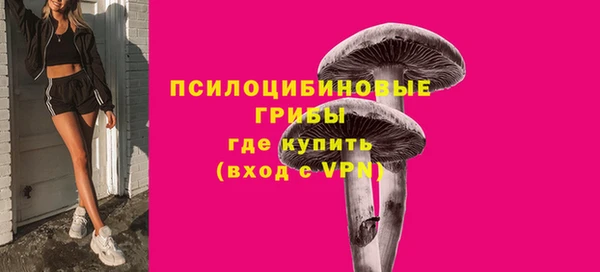 мескалин Алексин