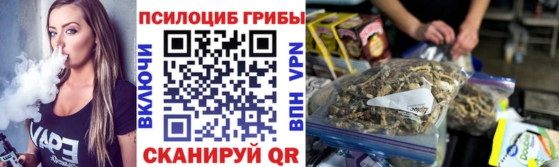 Галлюциногенные грибы Psilocybe  хочу   Юрьев-Польский 